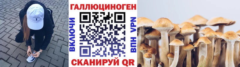Галлюциногенные грибы ЛСД  где найти   kraken рабочий сайт  Малгобек 