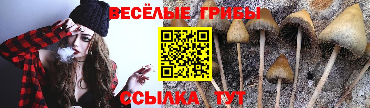 Галлюциногенные грибы мухоморы  Вход с VPN  Малгобек 